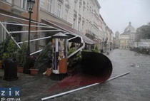 жители синявино ленобласти обнаружили большой куриный могильник