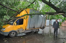 в ленобласти ликвидируют последствия нового урагана